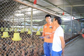 Masan High-Tech Materials - hiệu quả từ Quỹ vốn vay phục hồi kinh tế