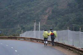 Đăng Hoàng – Thuỳ Anh nói gì khi bất ngờ bị loại khỏi Cuộc đua kỳ thú