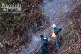 Cháy rừng phòng hộ, Quảng Ngãi huy động lực lượng công an, bộ đội tham gia dập lửa