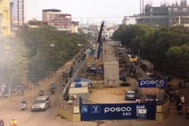 Di chuyển, chặt hạ và cắt sửa 62 cây xanh làm ga đường sắt trên cao