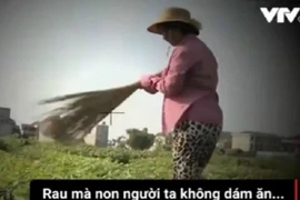 Bộ TT&TT yêu cầu VTV giải trình vụ dàn dựng "Cây chổi quét rau"