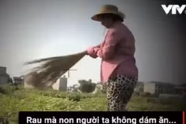 Bộ TT&TT yêu cầu VTV giải trình vụ dàn dựng "Cây chổi quét rau"