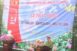 Xắn tay vào cuộc, cùng nhau gieo những mầm xanh của sự sống