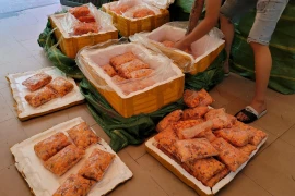 Chặn giữ hơn nửa tấn tràng trứng gà bốc mùi