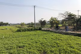 Tuân thủ nghiêm quy định của Nhà nước trong triển khai Dự án Khu tưởng niệm danh nhân Chu Văn An