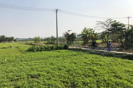 Tuân thủ nghiêm quy định của Nhà nước trong triển khai Dự án Khu tưởng niệm danh nhân Chu Văn An