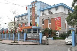 Triệt phá đường dây khai thác than trái phép với quy mô lớn, thu tang vật trị giá 200 tỷ đồng