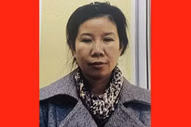 Giám đốc Công ty cổ phần DHD tổ chức nhập cảnh Việt Nam trái phép