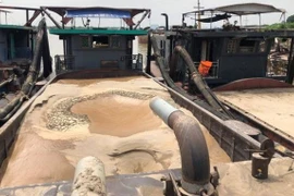 Hơn 8 tháng ‘miệt mài’ hút cát trái phép, tổng trị giá 11 tỷ đồng