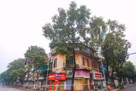 Tại phường Nguyễn Du, quận Hai Bà Trưng, Hà Nội: Gần 30 hộ dân, cửa hàng ‘đóng cửa, không ra khỏi nhà’ để phòng dịch Covid