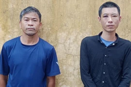 Trộm 22 con lợn giống, 2 người đàn ông bị khởi tố