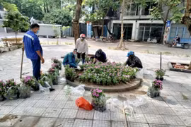 Duy trì 329 điểm sáng trong công tác bảo vệ môi trường