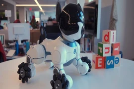 Với CHiP, từ nay con người sẽ "nuôi" rô bốt thay chó