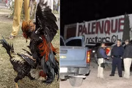 Xả súng đẫm máu, 10 người bị bắn chết trong một xới chọi gà 