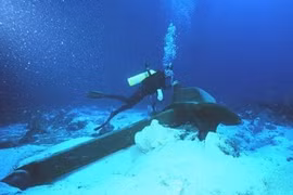 Internet từ Việt Nam đi quốc tế bị chậm do đứt cáp quang biển Liên Á