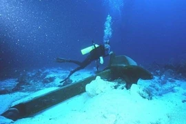 Internet từ Việt Nam đi quốc tế bị chậm do đứt cáp quang biển Liên Á