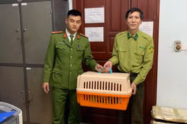 Công an quận Bắc Từ Liêm bắt đối tượng vận chuyển cầy vằn quý hiếm