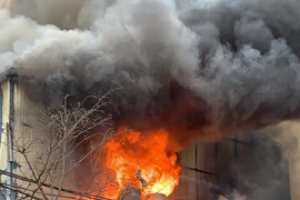 [Ảnh] Hiện trường vụ cháy xảy ra tại xưởng gỗ ở xã Hữu Bằng