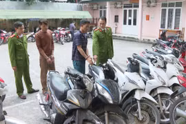 Bắt ổ nhóm chuyên trộm cắp, tiêu thụ xe gian