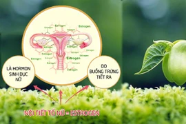 Chuyên gia cảnh báo nguy cơ vô sinh của giới trẻ khi thờ ơ với những dấu hiệu thường gặp này