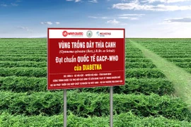 Cảnh báo: Tăng nguy cơ tử vong ở người không kiểm soát tốt đường huyết trong giai đoạn dịch