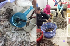 "Phù phép" tôm sú chết… thành tôm tươi, đắt đỏ