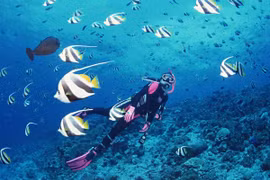 3 lý do Nha Trang đạt top 10 điểm đến hấp dẫn nhất Châu Á 2016