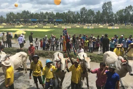 Number 1 mang đến không khí náo nhiệt cho Lễ hội đua bò Bảy Núi