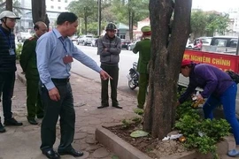 Phạt 40 trường hợp tè bậy trong đó có cả nữ