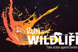 Tổ chức giải "Chạy vì động vật hoang dã"