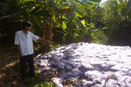 Dân bức xúc vì hàng tấn gia vị lỏng bốc mùi nồng nặc trong khu nghĩa địa