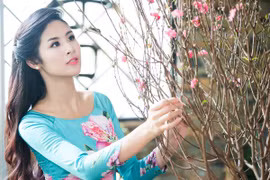 Hoa hậu Ngọc Hân “lặn lội” mang đào vào Nam