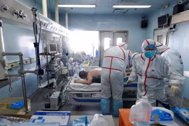 Nguy cơ lây lan cúm H7N9 giữa người với người là thấp