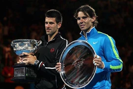 Úc mở rộng: Nhà cái tin vào Djokovic