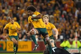 Thể thao Australia choáng vì tội phạm có tổ chức