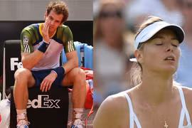 Murray và Sharapova chia tay mùa giải 2013