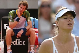 Murray và Sharapova chia tay mùa giải 2013