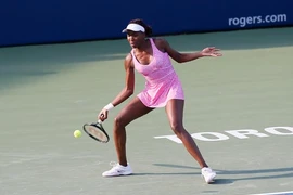 Thêm một loạt hạt giống rơi rụng