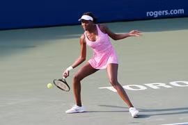 Thêm một loạt hạt giống rơi rụng