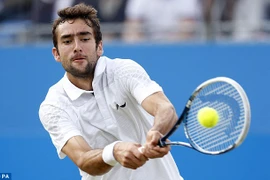 Dính doping, Cilic bị phạt nặng