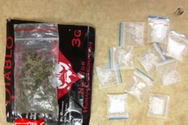 Bắt giữ đối tượng tàng trữ ma túy và chống người thi hành công vụ