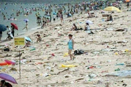 “Thủ phạm” tàn sát động vật biển