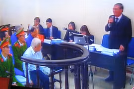 Tổ chức tín dụng chỉ được làm những việc mà pháp luật cho phép