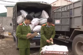 Phát hiện vụ vận chuyển 4 tấn mỡ bẩn trên địa bàn huyện Phú Xuyên