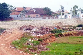 “Bài học” ốc bươu vàng 