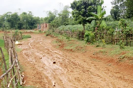 Những cái chết bất thường và chuyện long mạch “ăn thịt người”