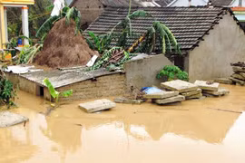 “Không được nhập nhằng trách nhiệm”