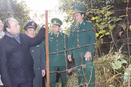 Xử lý nghiêm khắc cán bộ tiếp tay buôn lậu