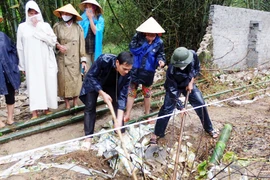 Dung túng, bao che vi phạm môi trường