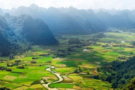 Đường thơ “Ta đi tới”